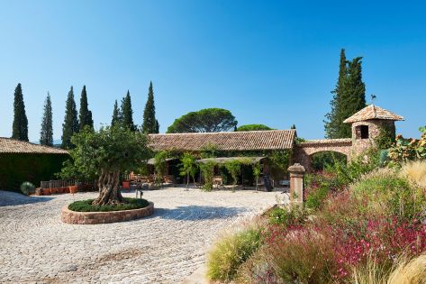 Zoom sur le domaine viticole du Château Saint Roux