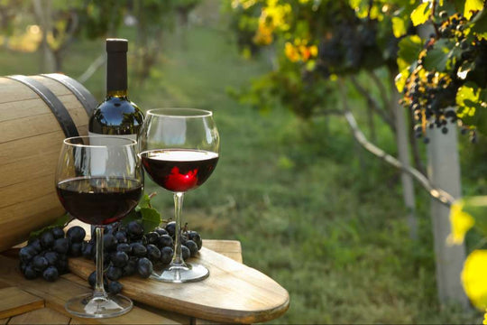Deux verres de vin bio dans une vigne