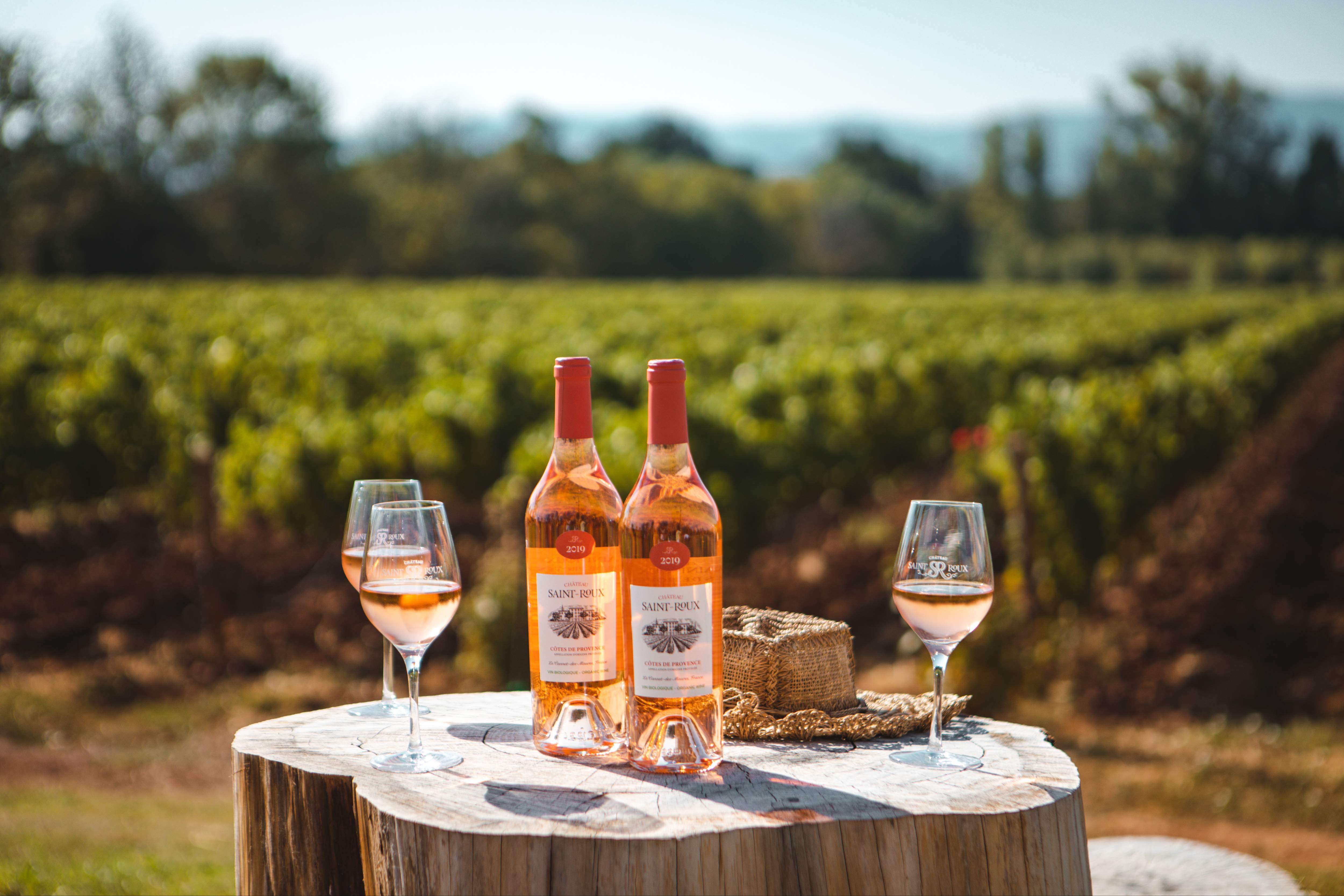 Zoom sur les vins bios du Château Saint-Roux